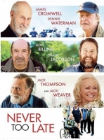 Never Too Late 2020 HDRip XviD AC3-EVO