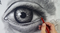Udemy - The Complete Drawing Masterclass: From Beginner to Advanced [Course Drive]