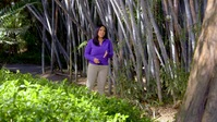 Wild Child S02E26 XviD-AFG EZTV Wild Child S02E26 XviD-AFG EZTV