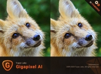 Topaz Gigapixel AI v5.4.0 (x64) + Fix {CracksHash}