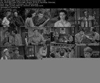 The Andy Griffith Show S1 E10 Ellie For Council [che]