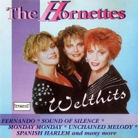 The Hornettes - Welthits (1994) FLAC