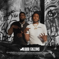Mozzy & Tsu Surf - Blood Cuzzins (2019) Mp3 320kbps Album [PMEDIA] ️