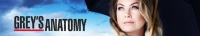 Greys Anatomy S15E15 XviD-AFG[TGx]