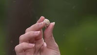 Springwatch S18E01 XviD-AFG EZTV Springwatch S18E01 XviD-AFG EZTV