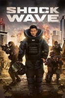 Shock Wave 2017 BDRip x264-SPRiNTER[TGx]