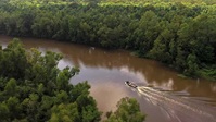 Swamp People S14E16 XviD-AFG EZTV Swamp People S14E16 XviD-AFG EZTV