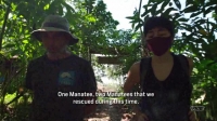 Wet Markets Exposed S01E02 Peru XviD-AFG EZTV Wet Markets Exposed S01E02 Peru XviD-AFG EZTV