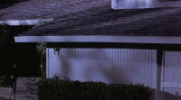 Pulse 1988 BRRip XviD MP3-XVID