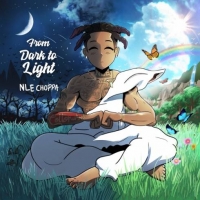 NLE Choppa - From Dark to Light (2020) Mp3 320kbps [PMEDIA] ️