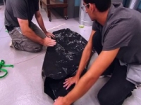 Shop Class S01E07 480p x264-mSD [eztv]