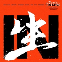 Stray Kids - IN LIFE (2020) Mp3 320kbps [PMEDIA] ️