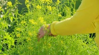 Gardening with Carol S04E05 Spring Gradening XviD-AFG EZTV