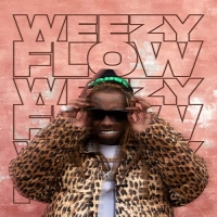 Lil Wayne - Weezy Flow (2020) Mp3 320kbps Album [PMEDIA] ️