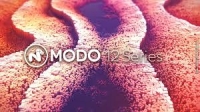 The Foundry MODO 12.2V1 (macOS)