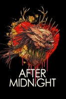 After Midnight 2019 BDRip x264-SPOOKS[TGx]