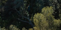 Foundation S01E06 REPACK 720p HEVC x265-MeGusta EZTV