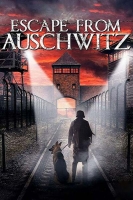 No Escape 2020 720p BluRay 800MB x264-GalaxyRG