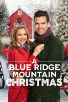 Blue Ridge 2020 HDRip XViD AC3-EVO[TGx]