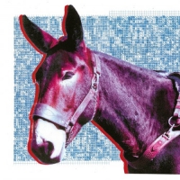 Protomartyr - Ultimate Success Today (2020) Mp3 320kbps [PMEDIA] ️