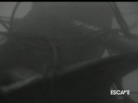 Forensic Files S05E16 DSR x264-REGRET [eztv]