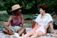 Passion Fish 1992