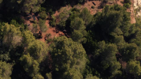 Surviving Paradise S01E05 XviD-AFG EZTV