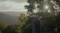 Back To Nature S01E01 XviD-AFG EZTV