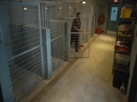Animal Control S01E11 480p x264-mSD EZTV Animal Control S01E11 480p x264-mSD EZTV