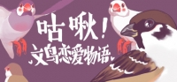 Love Story of Sparrow
