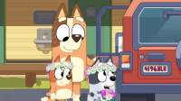 Bluey S03E49 XviD-AFG EZTV Bluey S03E49 XviD-AFG EZTV