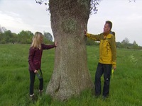 Springwatch S17E02 480p x264-mSD EZTV
