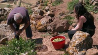 Italys Uncharted Islands S01E04 XviD-AFG EZTV