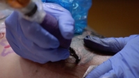 Ink Master Angels S02E08 WEB x264-TBS[eztv]