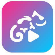 Stellio Player v6.2.7 Premium Mod Apk {CracksHash}