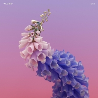 Flume -Skin [CD RIP]
