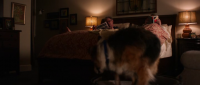 Darling Companion 2012 BRRip XviD MP3-XVID