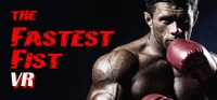 The Fastest Fist VR