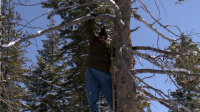 Jackass 3 5 2011 UNRATED 720p BluRay H264 AAC Jackass 3 5 2011 UNRATED 720p BluRay H264 AAC