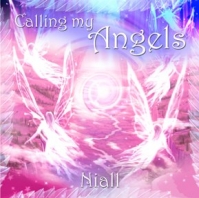 Niall - Calling my Angels (2013) FLAC