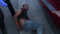 Cops S35E31 720p HEVC x265-MeGusta EZTV Cops S35E31 720p HEVC x265-MeGusta EZTV