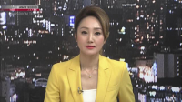 Newsroom Tokyo 2023 12 12 XviD-AFG EZTV