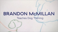 [ FreeCourseWeb ] MasterClass - Brandon McMillan Teaches Dog Training