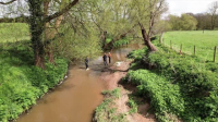 Springwatch S19E10 XviD-AFG EZTV Springwatch S19E10 XviD-AFG EZTV