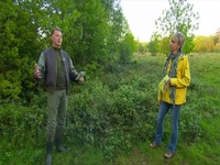 Springwatch S17E03 480p x264-mSD EZTV Springwatch S17E03 480p x264-mSD EZTV