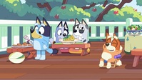 Bluey S01E07 XviD-AFG EZTV Bluey S01E07 XviD-AFG EZTV
