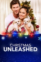 Christmas Unleashed 2019 Lifetime 720p Web X264 Solar