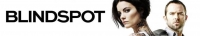 Blindspot S04E16 XviD-AFG[TGx]