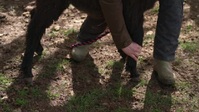 Springtime on the Farm S06E02 XviD-AFG EZTV Springtime on the Farm S06E02 XviD-AFG EZTV