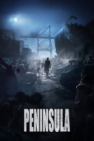 Run 2020 WEBRip x264-ION10